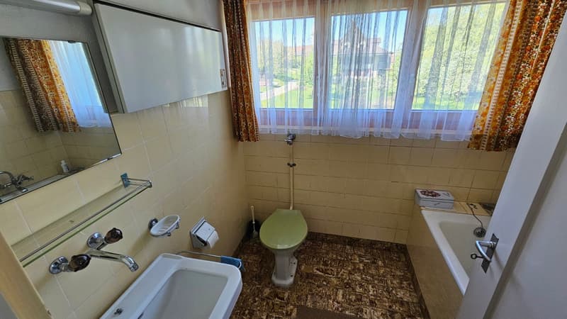 6½ room residential house with 2 apartments (12)