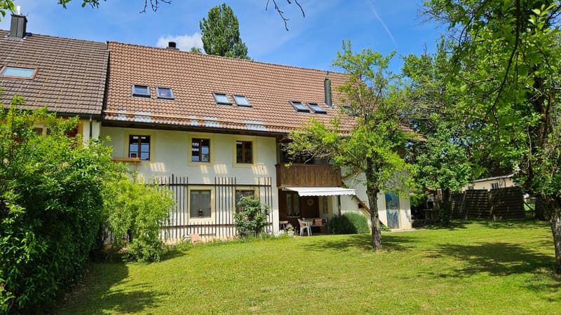 Mehrfamilienhaus mit 3 Wohneinheiten vermietet (1)