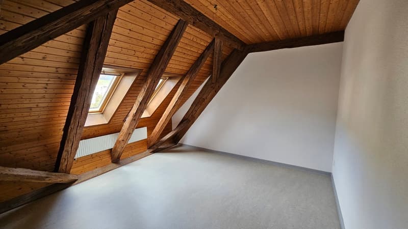 Mehrfamilienhaus mit 3 Wohneinheiten vermietet (14)