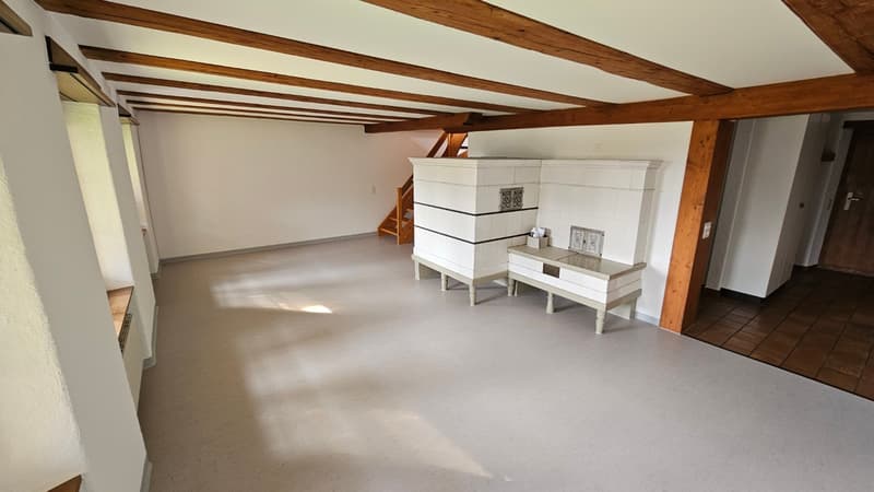 Mehrfamilienhaus mit 3 Wohneinheiten vermietet (6)