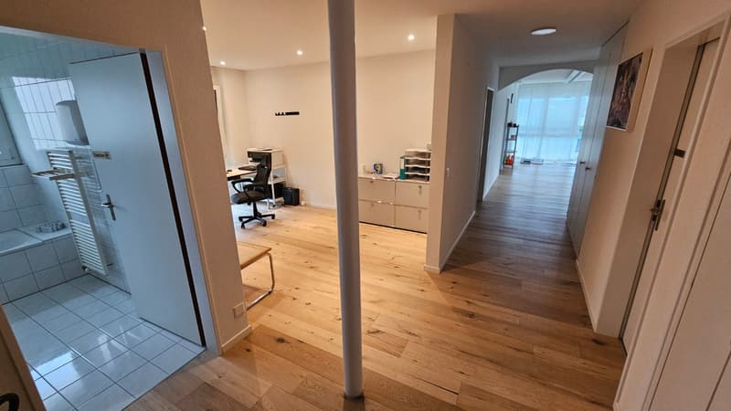 Large 3.5 room practice disabled-friendly equipped (15)