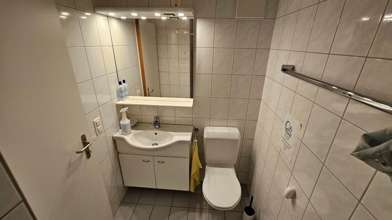Large 3.5 room practice disabled-friendly equipped (12)