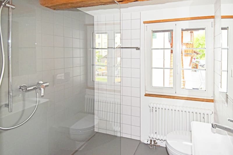 Historischer Charme trifft modernes Wohnen (9)