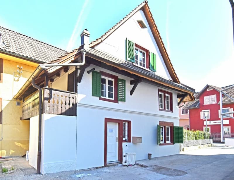 Historic charm meets modern living (13)
