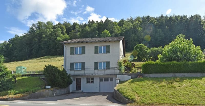 Land plot with old property full of possibilities for the future (3)