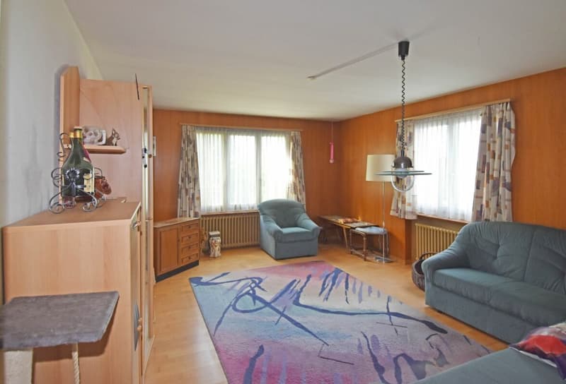 Land plot with old property full of possibilities for the future (6)