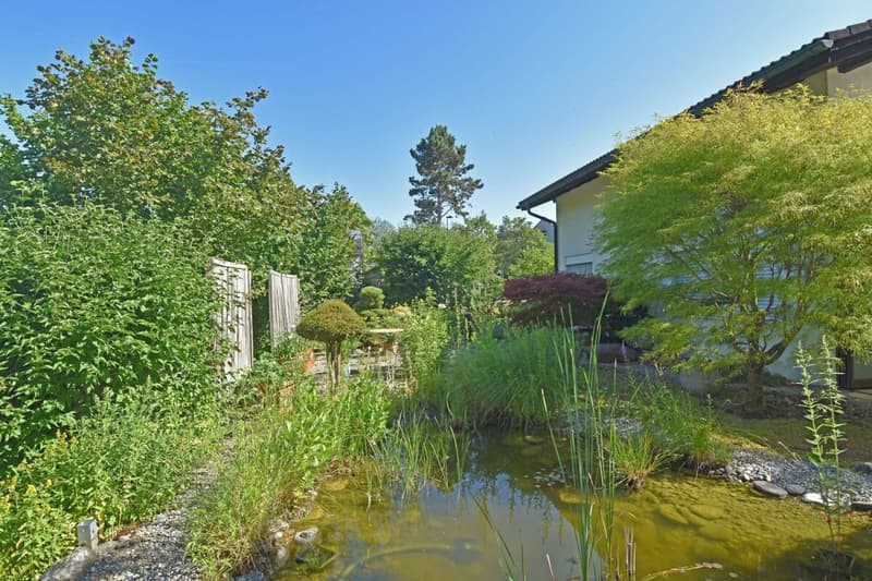 Familienglück auf grossem Grundstück, sonnig, naturnah (2)