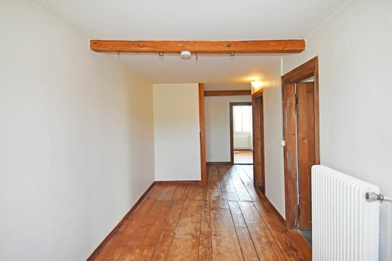 Hochwertiger Wohnkomfort in historischem Haus (7)