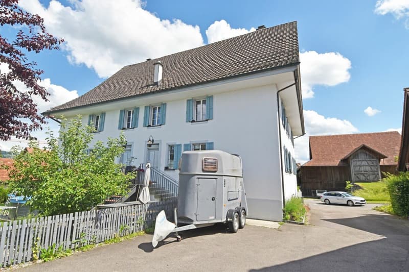 Hochwertiger Wohnkomfort in historischem Haus (18)