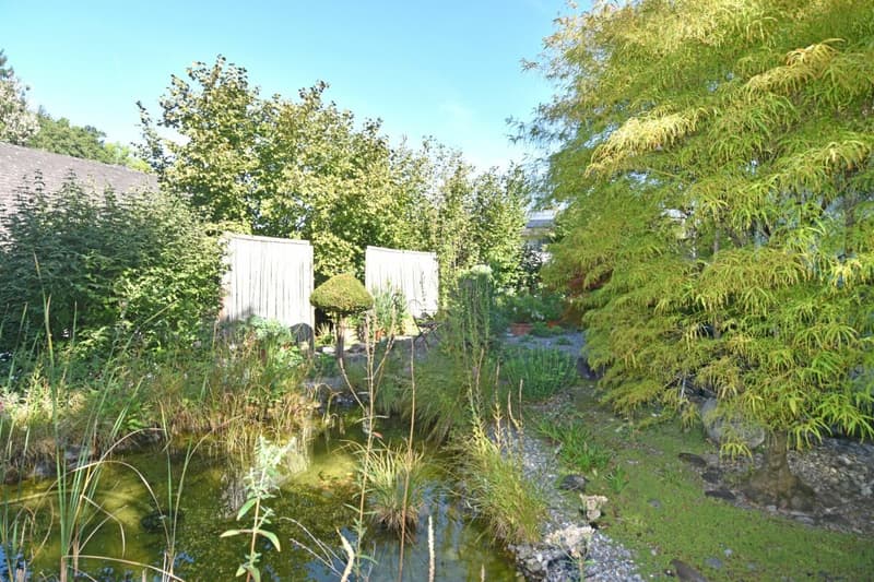 Freistehendes Einfamilienhaus mit idyllischem Garten (6)