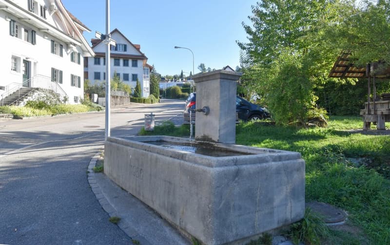 Traditioneller Charme trifft auf gemütliches Wohnen (12)