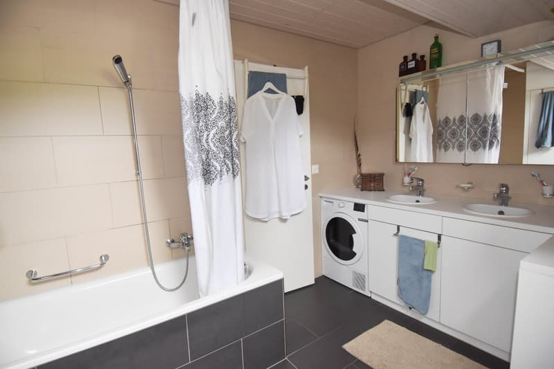 Incantevole appartamento maisonette 4,5 locali a Zufikon (3)