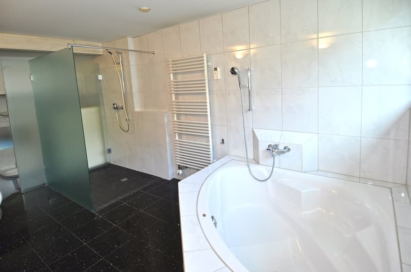 Terrassenwohnung mit viel Platz in idyllischer Umgebung (11)