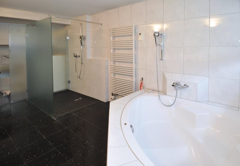 Terrassenwohnung mit viel Platz in idyllischer Umgebung (7)
