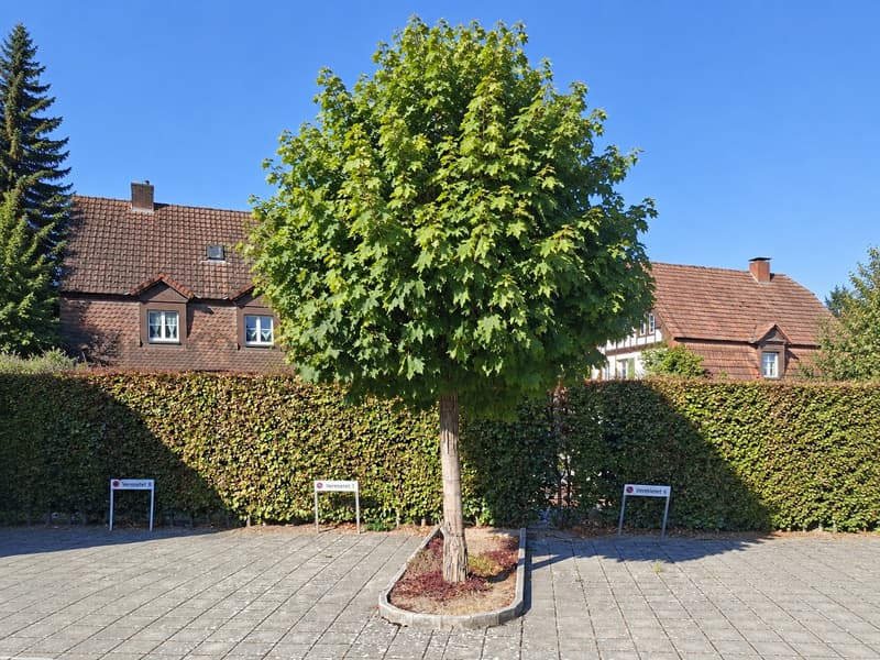 Aussenparkplätze zu vermieten (1)