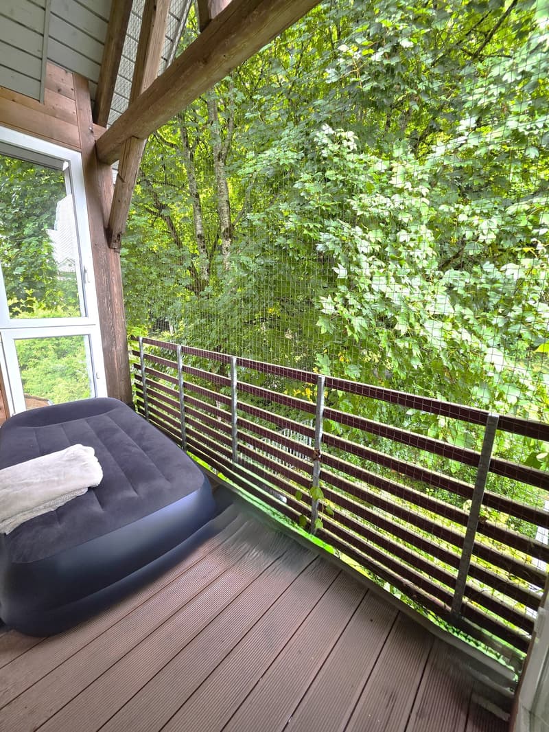 Naturnahes Wohnen unter dem Dach – stilvolle 4.5-Zi-Wohnung mit Flair (3)
