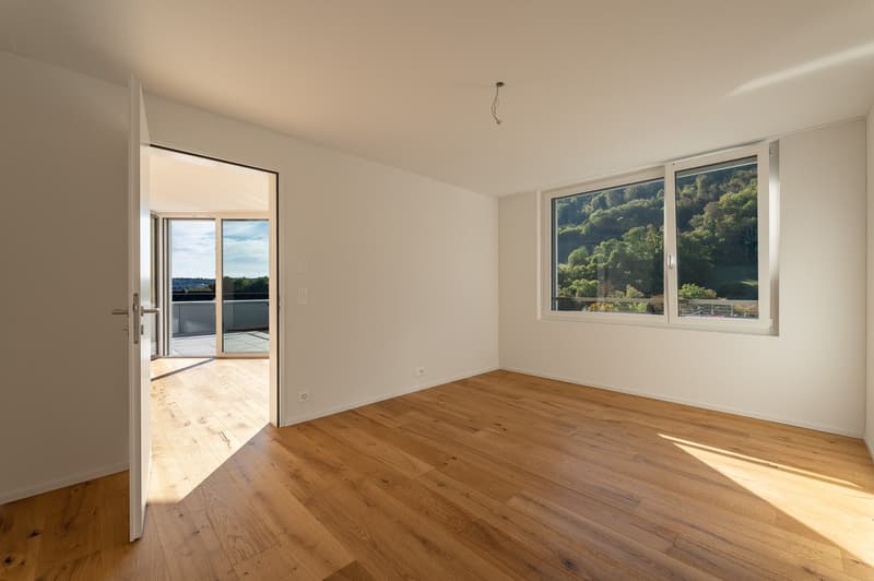 Ein Panorama zum Verlieben – Neubau-ATTIKA in Aarburg (9)