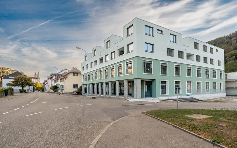 Attikatraum in Aarburg – Wo Aussicht auf Lebensqualität trifft (11)