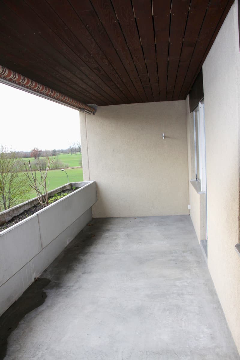 1189.131.Balkon1