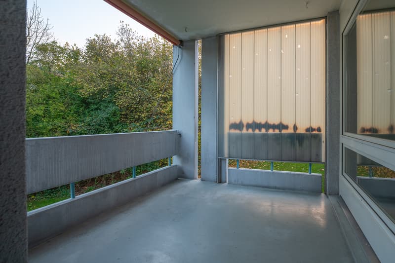 1271.312.Balkon