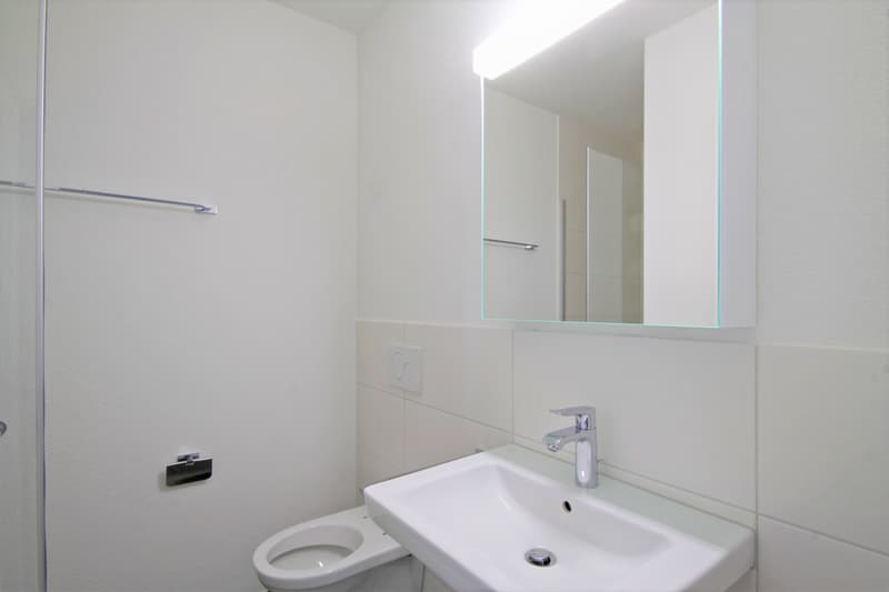 1315.102.WC