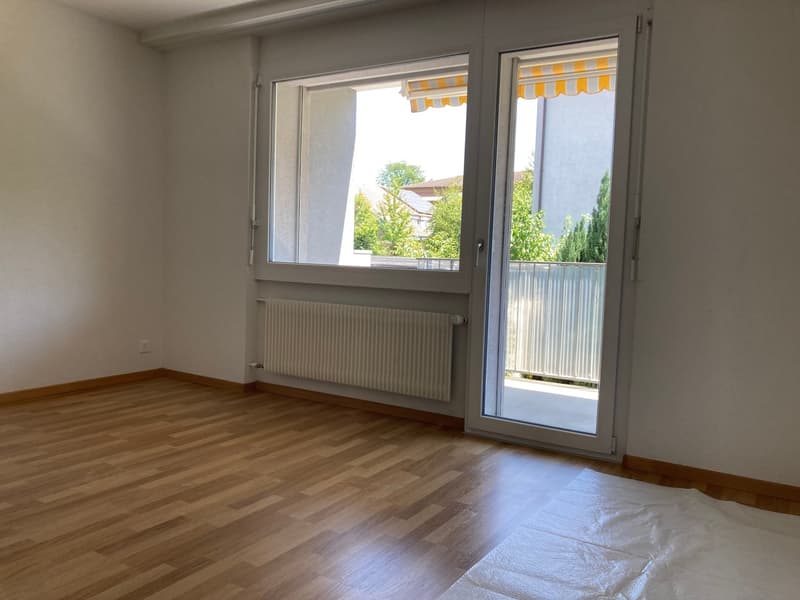 Appartamento di 2 camere con ampio balcone soleggiato (11)