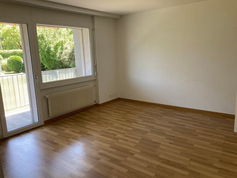 Appartamento di 2 camere con ampio balcone soleggiato (8)