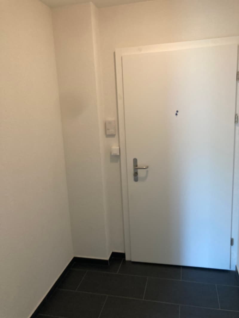 Appartamento di 2 camere con ampio balcone soleggiato (18)
