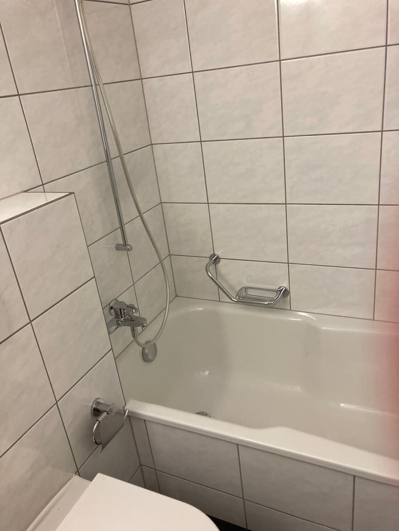 Appartamento di 2 camere con ampio balcone soleggiato (15)