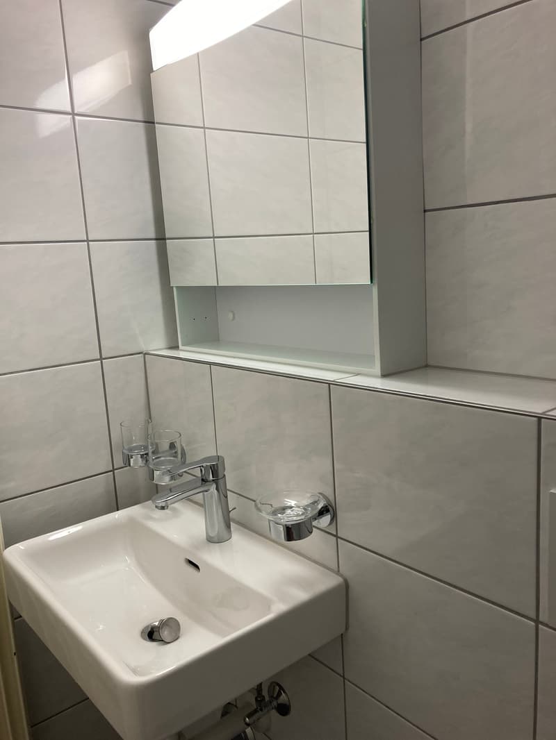 Appartamento di 2 camere con ampio balcone soleggiato (14)
