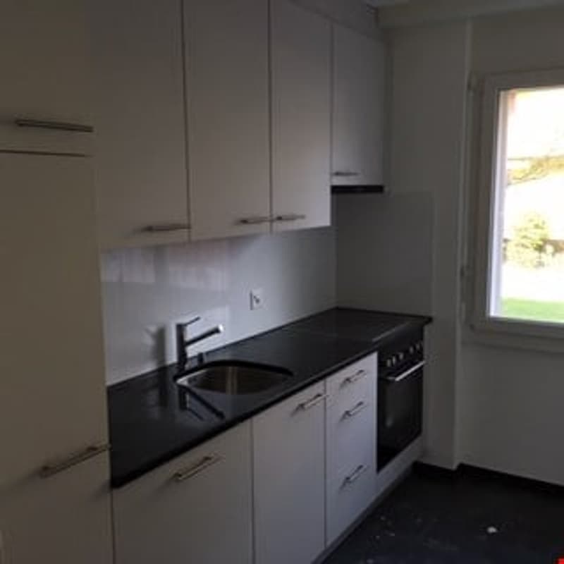 Appartamento di 2 camere con ampio balcone soleggiato (3)