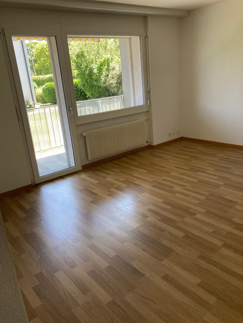Appartamento di 2 camere con ampio balcone soleggiato (6)