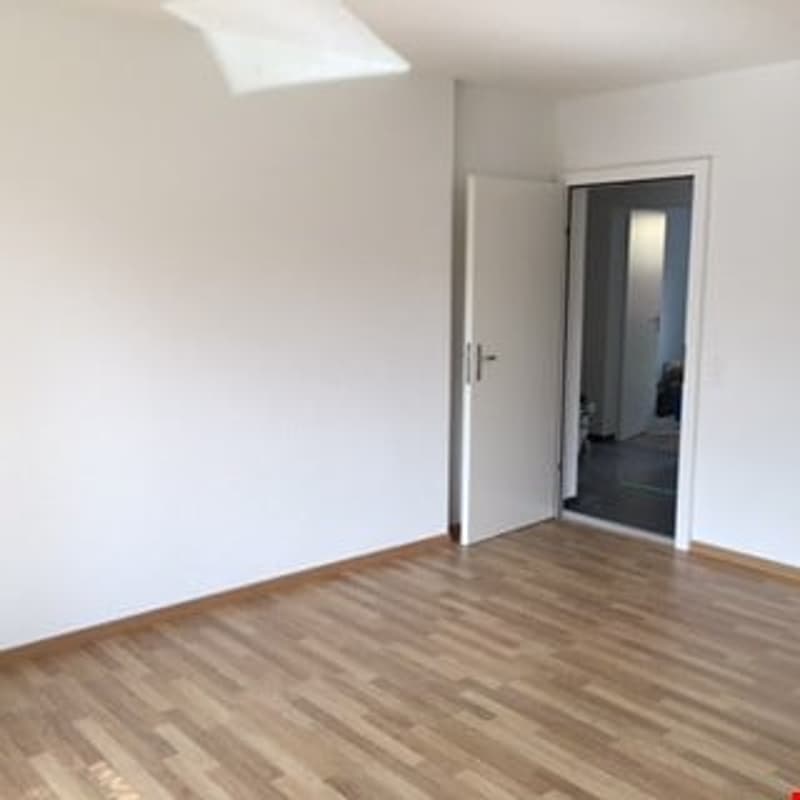 Appartamento di 2 camere con ampio balcone soleggiato (9)