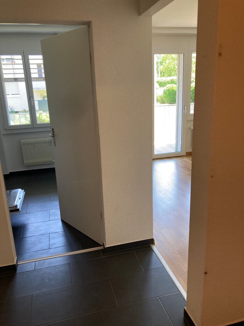 Appartamento di 2 camere con ampio balcone soleggiato (17)