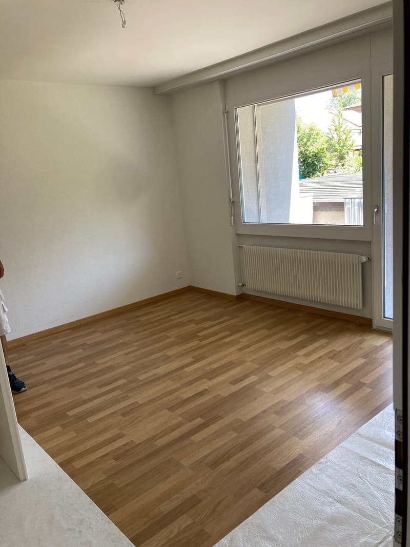 Appartamento di 2 camere con ampio balcone soleggiato (10)