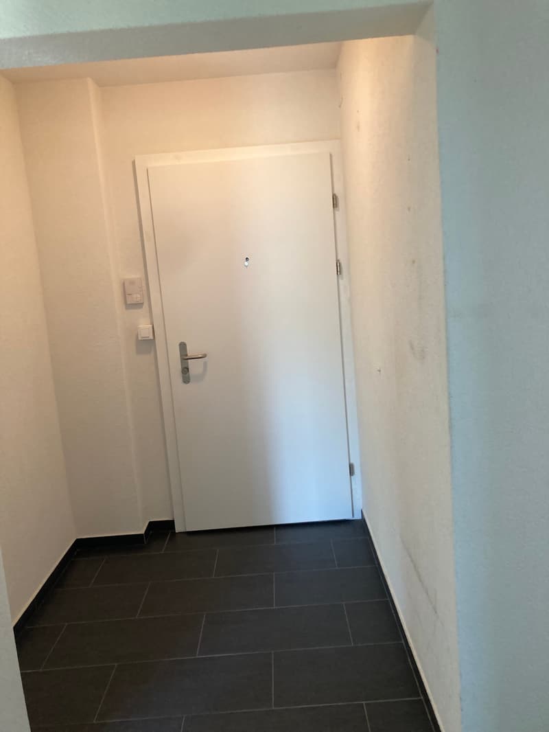Appartamento di 2 camere con ampio balcone soleggiato (16)