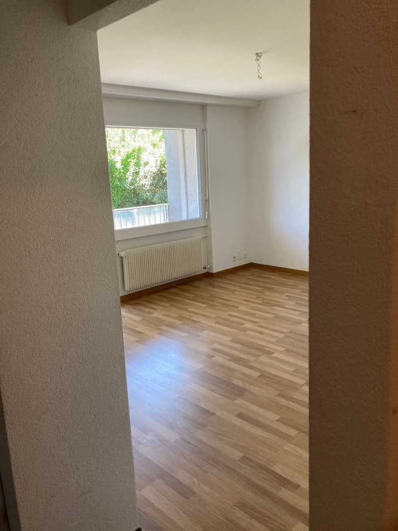 Appartamento di 2 camere con ampio balcone soleggiato (7)
