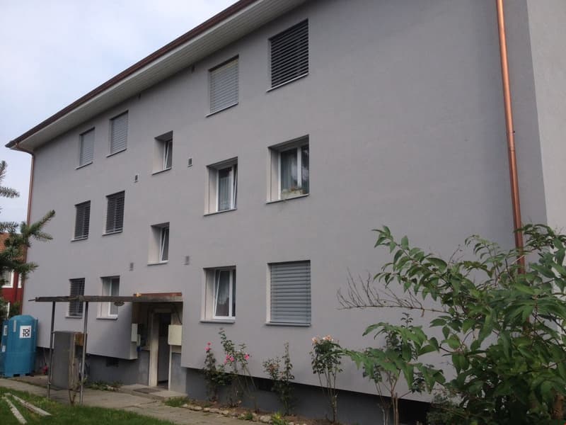 Appartamento di 2 camere con ampio balcone soleggiato (2)