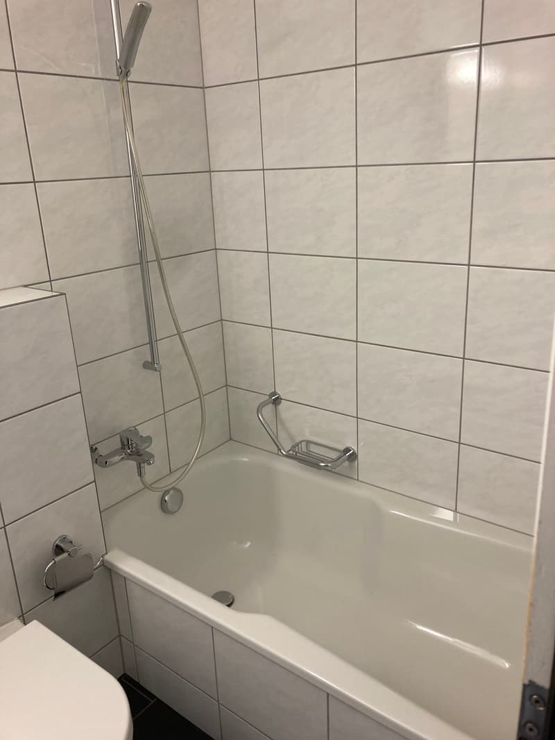 Appartamento di 2 camere con ampio balcone soleggiato (13)