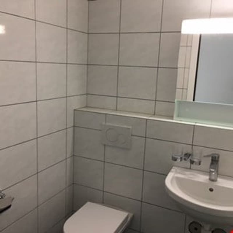 Appartamento di 2 camere con ampio balcone soleggiato (12)
