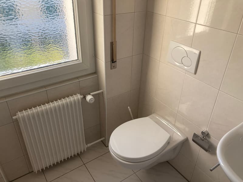 Grosszügige, helle, teilsanierte 4,5-Zimmerwohnung (22)