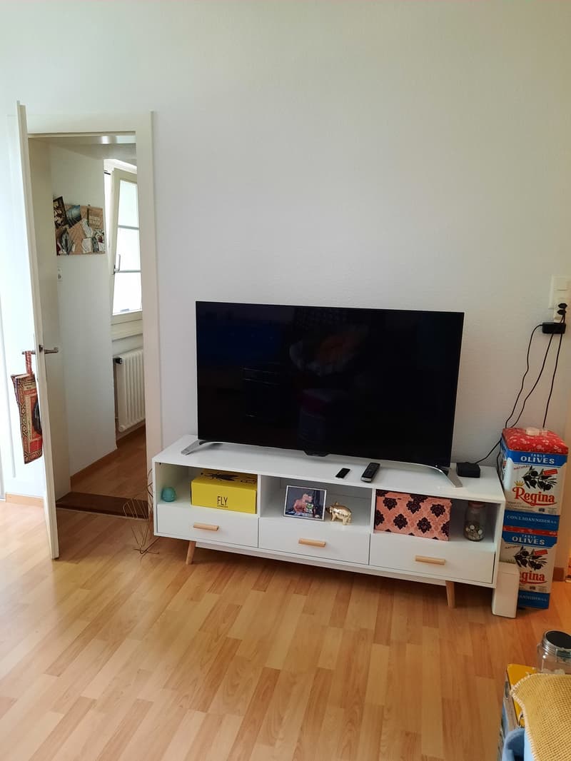 Appartamento monostanza (4)