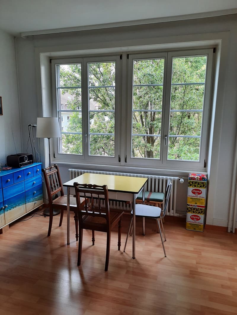 Appartamento monostanza (5)