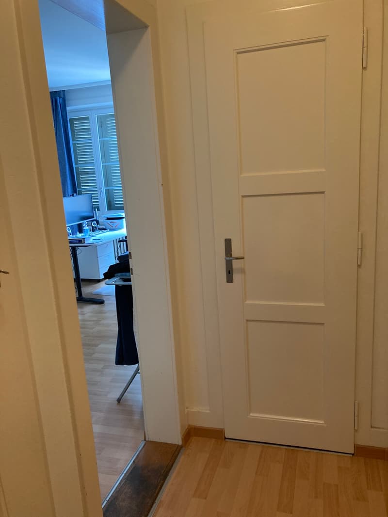 Appartamento monostanza (11)