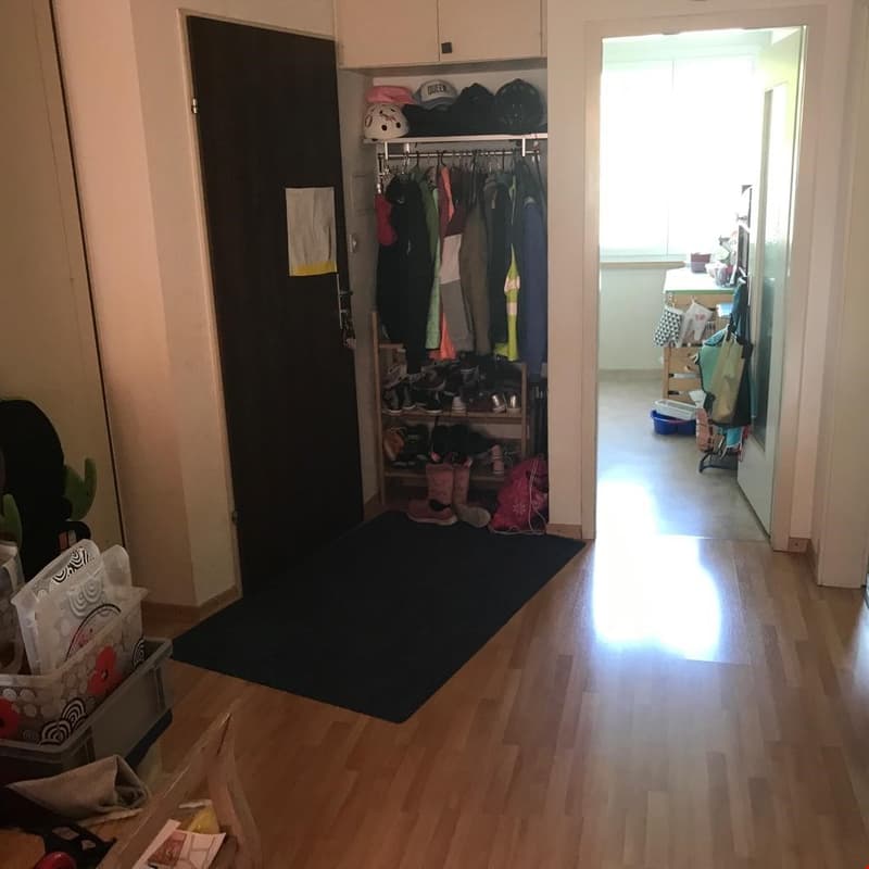 Total sanierte 3.5 Zimmerwohnung an zentraler Lage (4)