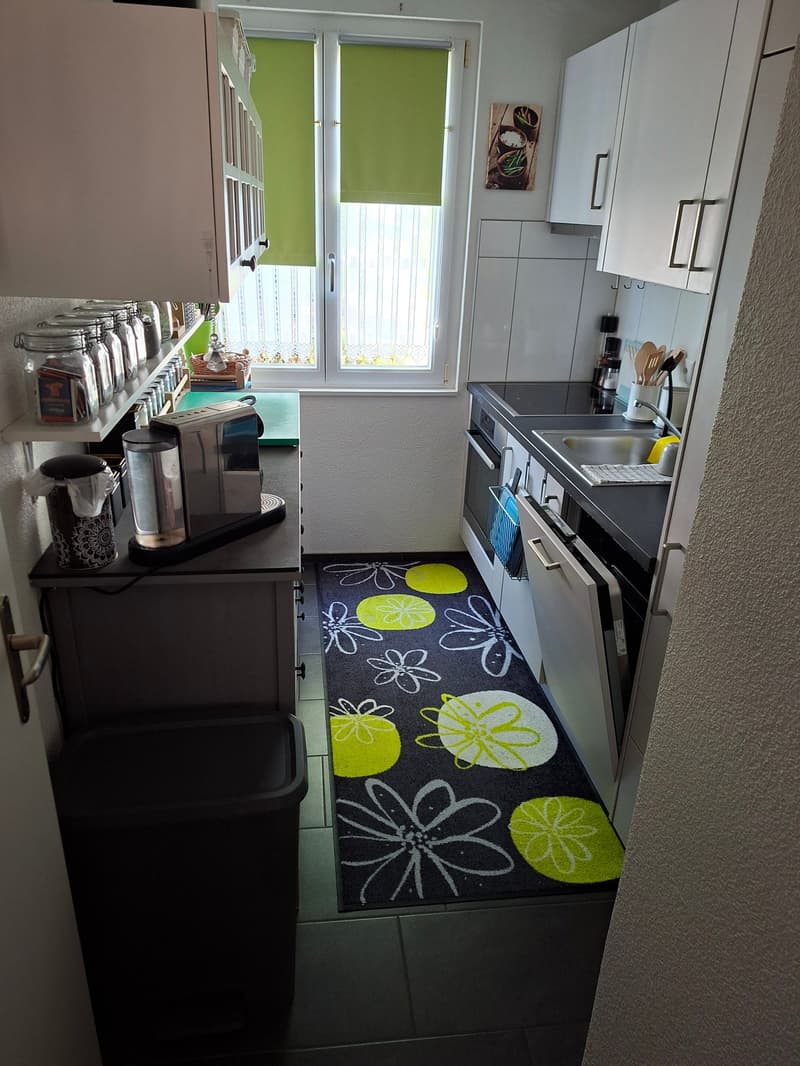 Total sanierte 3.5 Zimmerwohnung an zentraler Lage (6)