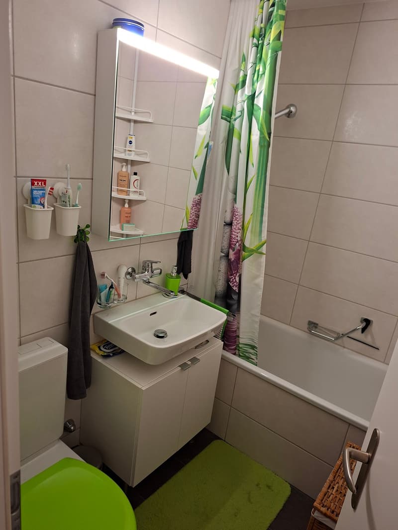 Total sanierte 3.5 Zimmerwohnung an zentraler Lage (7)