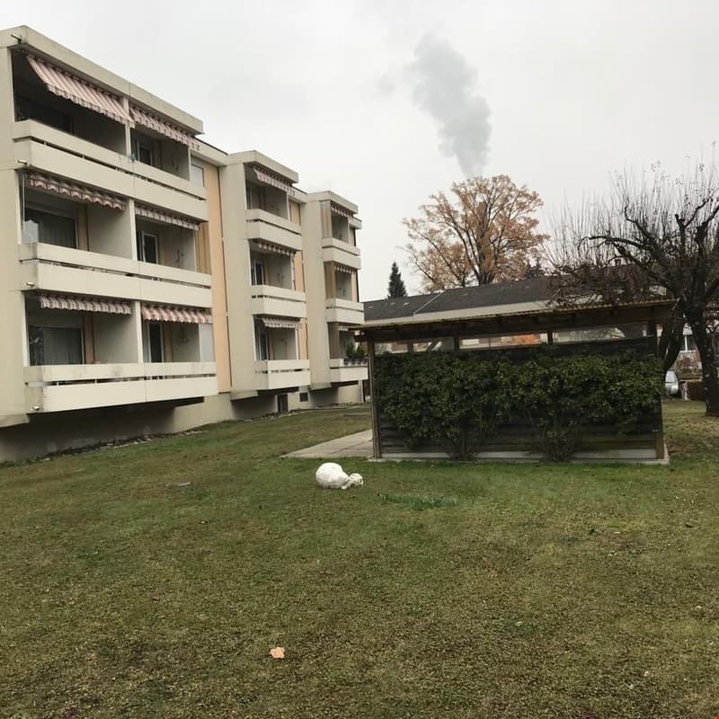 Grosszügige 4,5-Zimmerwohnung mit sonnigem Balkon (1)