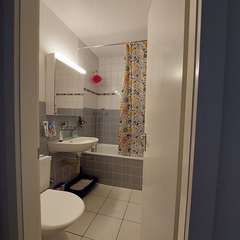 Grosszügige 4,5-Zimmerwohnung mit sonnigem Balkon (7)