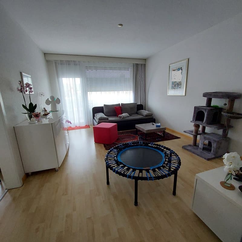 Grosszügige 4,5-Zimmerwohnung mit sonnigem Balkon (4)